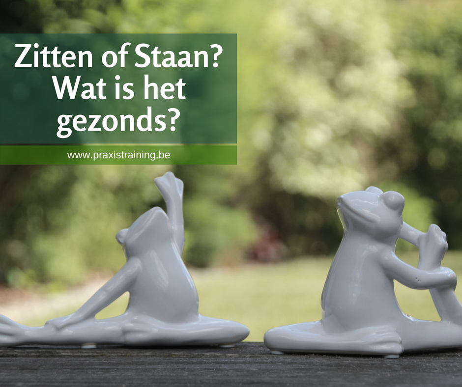 Praxis Training Zitten of Staan wat is het gezondst